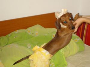 Прикачена снимка