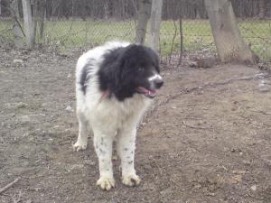 Прикачена снимка