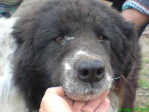 Прикачена снимка