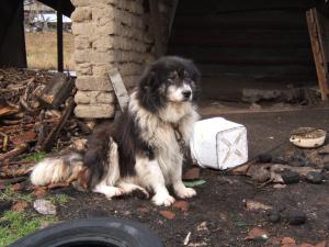 Прикачена снимка