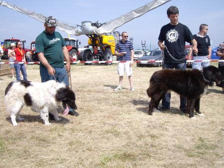 Прикачена снимка