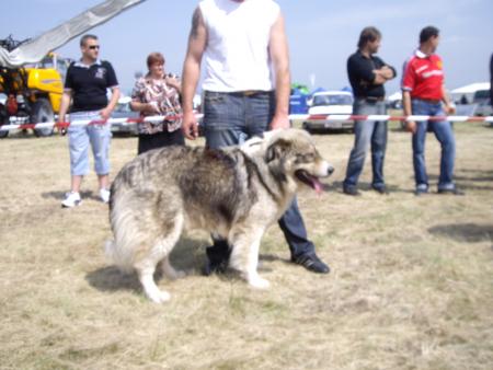 Прикачена снимка