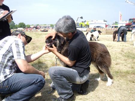 Прикачена снимка