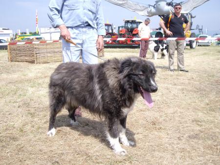 Прикачена снимка