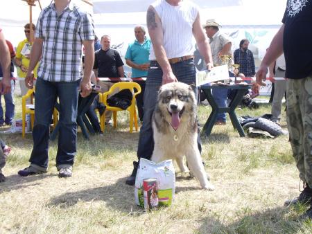 Прикачена снимка