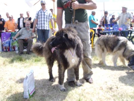 Прикачена снимка