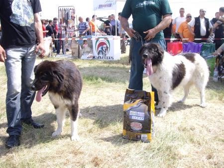 Прикачена снимка