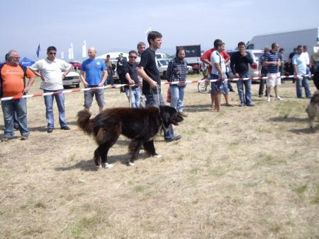 Прикачена снимка