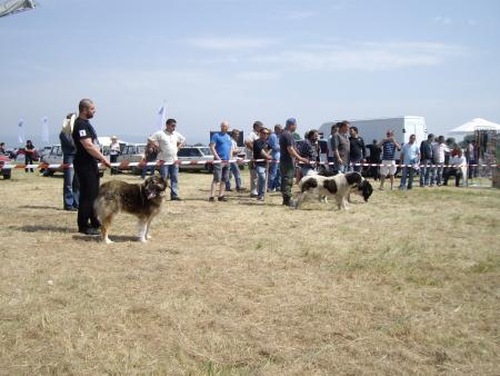 Прикачена снимка