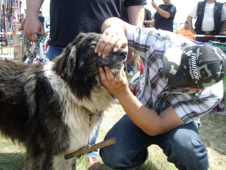 Прикачена снимка