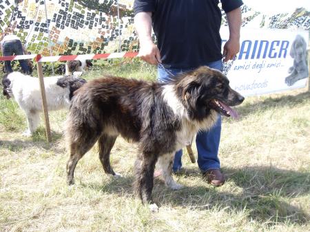 Прикачена снимка