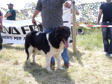 Прикачена снимка