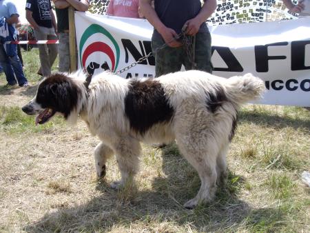 Прикачена снимка