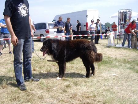 Прикачена снимка