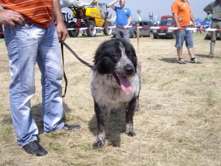 Прикачена снимка