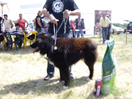 Прикачена снимка