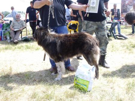 Прикачена снимка