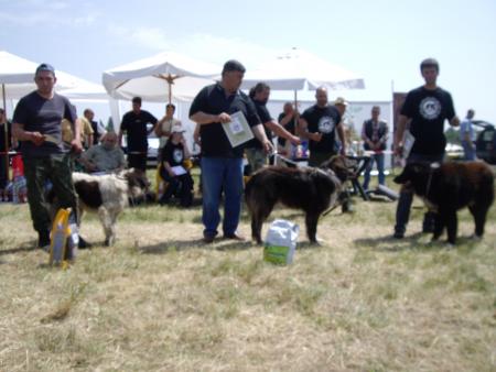 Прикачена снимка