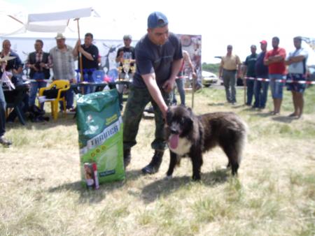 Прикачена снимка