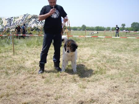 Прикачена снимка