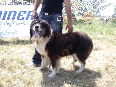 Прикачена снимка