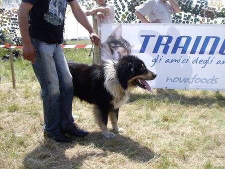 Прикачена снимка