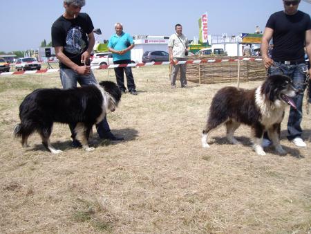 Прикачена снимка