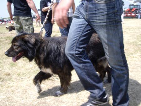 Прикачена снимка