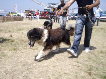 Прикачена снимка