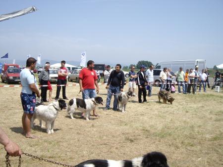 Прикачена снимка