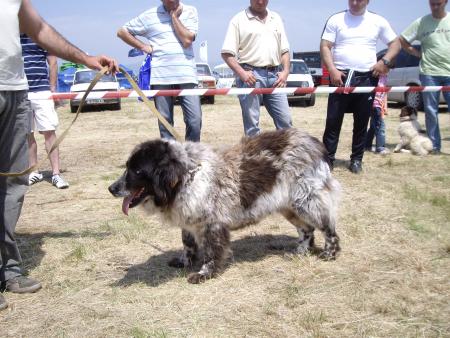 Прикачена снимка