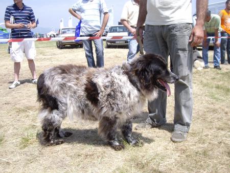 Прикачена снимка