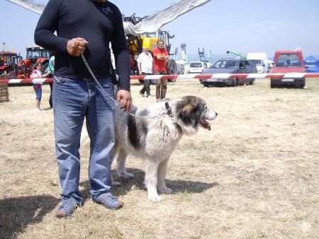 Прикачена снимка