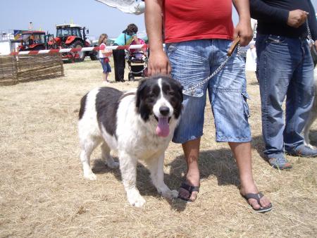 Прикачена снимка