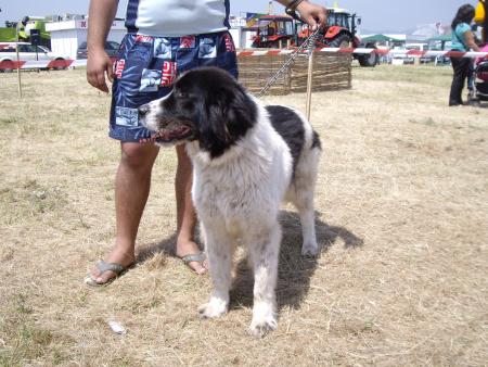 Прикачена снимка