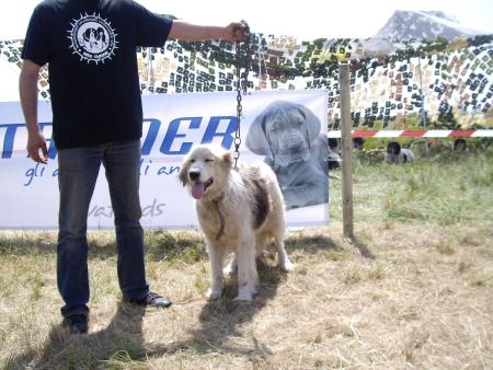 Прикачена снимка