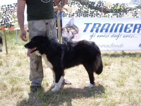 Прикачена снимка