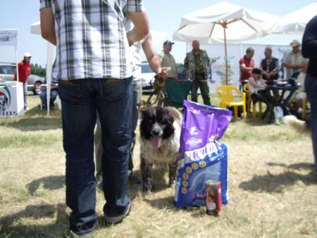 Прикачена снимка