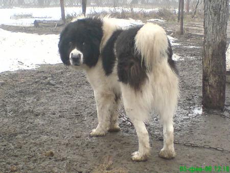 Прикачена снимка