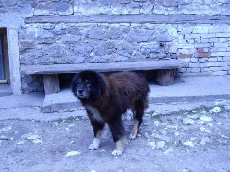 Прикачена снимка
