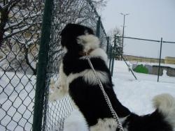 Прикачена снимка