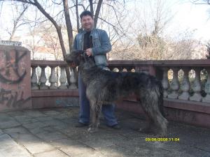 Прикачена снимка