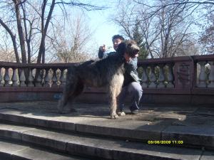 Прикачена снимка