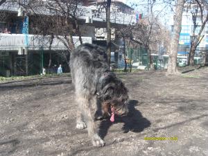 Прикачена снимка