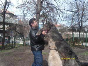 Прикачена снимка