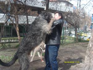 Прикачена снимка