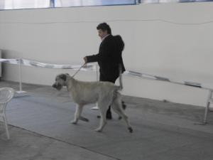 Прикачена снимка