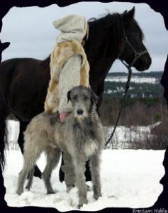 Прикачена снимка