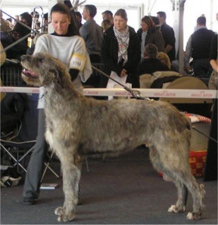 Прикачена снимка