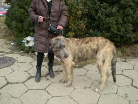 Прикачена снимка